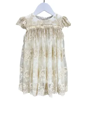 Bardot Junior, Baby Girl Shimmery Lace Dress, Ivory/Soft Gold, New with Tags, Size 24M